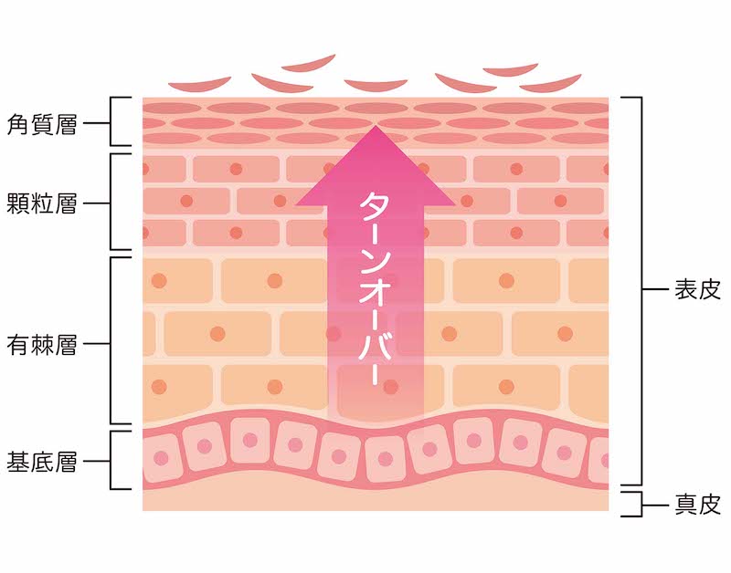 ハーブピーリングの説明